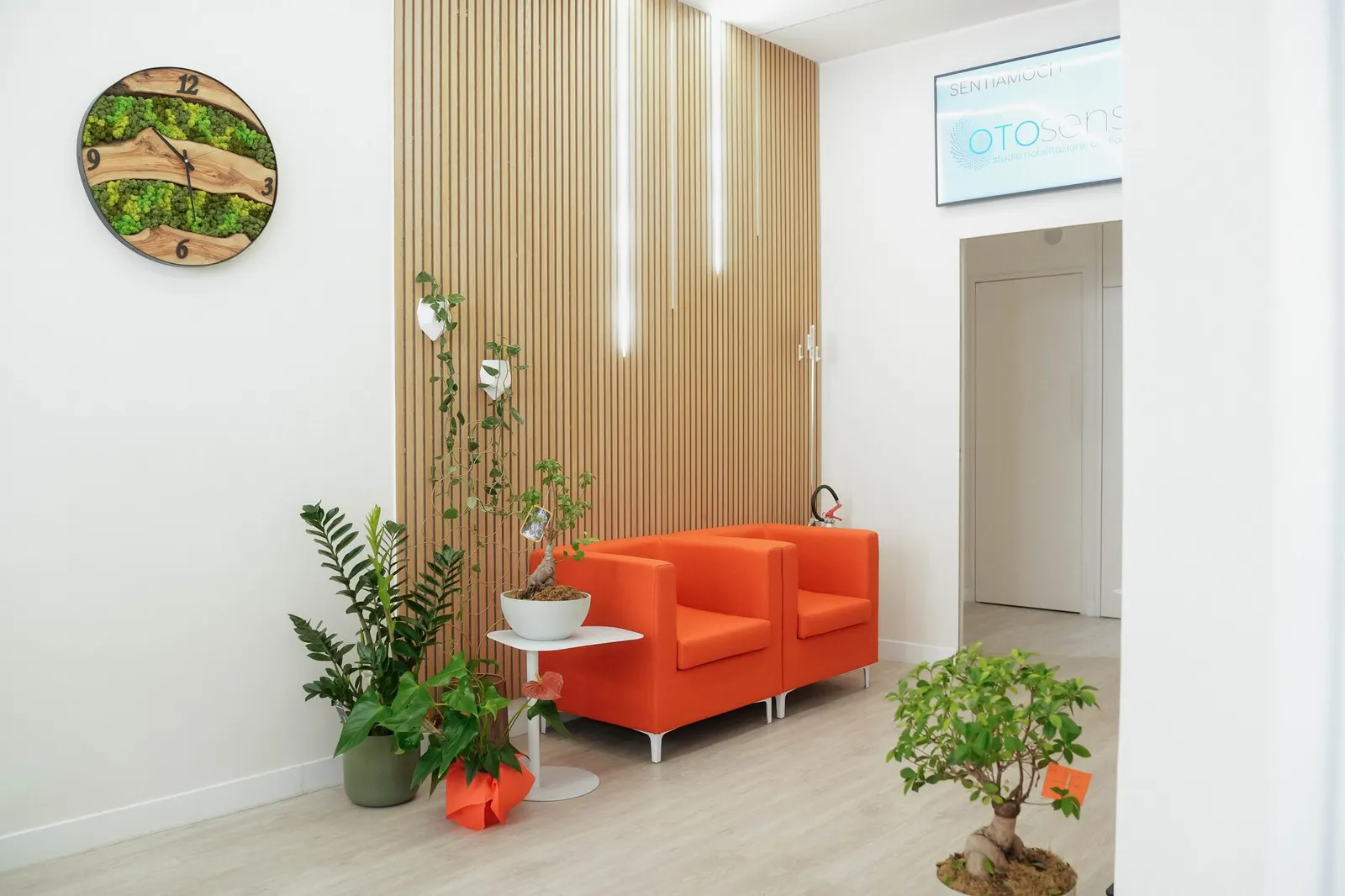 Sala d'attesa della sede Otosense — luce naturale e ambiente accogliente.